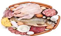 بسیج تغذیه همگانی